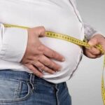  - برفيلكس - brieflex