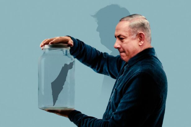 إسرائيل تدرس تقليل المساعدات الإنسانية بعد تنصيب ترامب.. كيف سيؤثر ذلك على غزة؟ - برفيلكس - brieflex