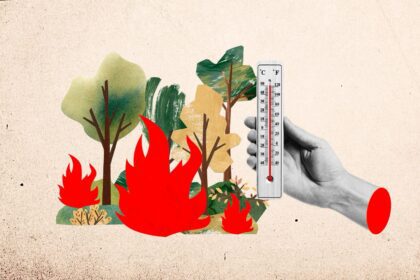 جنون الطقس.. كيف تسبب التغير المناخي في اشتعال حرائق كاليفورنيا؟