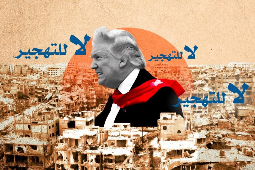 دونالد ترامب - برفيلكس - brieflex