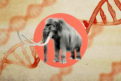 على غرار أفلام هوليوود.. 10 مليارات دولار لإحياء الماموث الصوفي وطائر الدودو