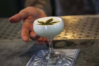 تزايد انتشار كوكتيلات القنب.. هل ينتهي عصر المشروبات الكحولية؟