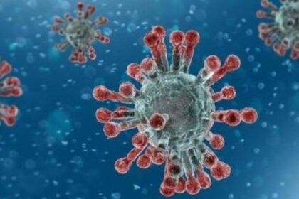 فيروس جديد في ووهان يشبه كوفيد-19.. هل يهدد البشرية؟