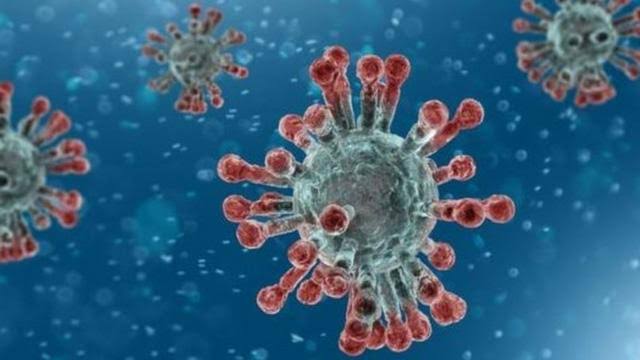 فيروس جديد في ووهان يشبه كوفيد-19.. هل يهدد البشرية؟ - برفيلكس - brieflex