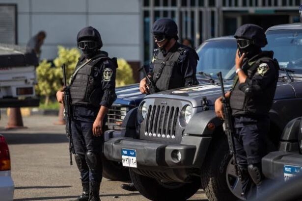 بعد 44 فيديو.. نهاية "خط الصعيد الجديد" ومصادرة ترسانة ضخمة من الأسلحة - برفيلكس - brieflex