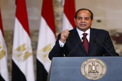 انتفاضة إلكترونية لدعم السيسي.. ماذا يحدث في مصر؟