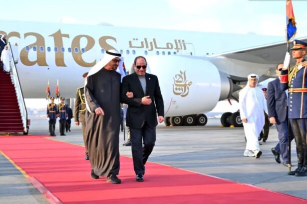 لقاء أخوي في القاهرة.. تعاون مثمر بين مصر والإمارات - برفيلكس - brieflex