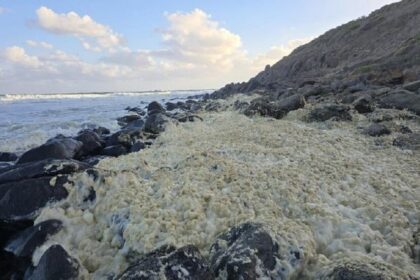 رغوة صفراء غامضة تجتاح شواطئ أستراليا.. ظاهرة طبيعية أم كارثة بيئية؟