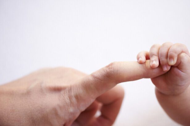  - برفيلكس - brieflex