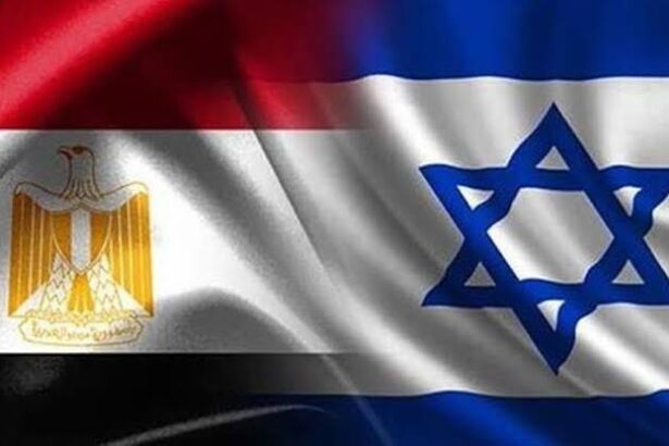 توتر في لقاء مصري-إسرائيلي بسبب غزة.. ماذا كشفت الصحف العبرية؟ - برفيلكس - brieflex