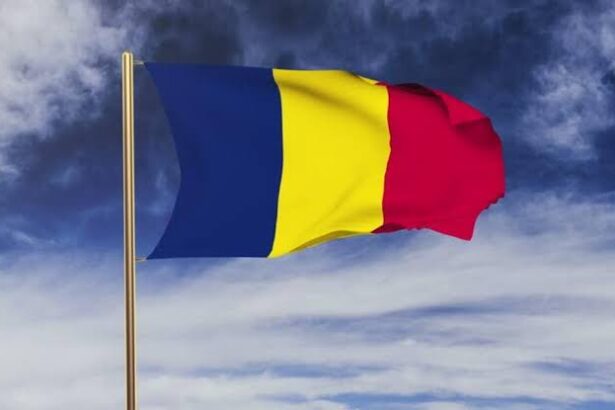  - برفيلكس - brieflex