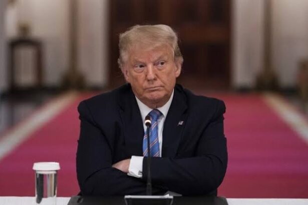  - برفيلكس - brieflex