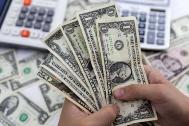  - برفيلكس - brieflex