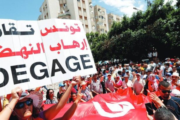  - برفيلكس - brieflex