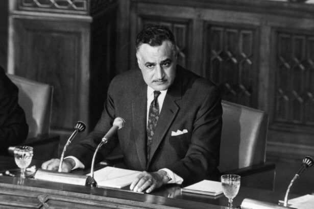  - برفيلكس - brieflex