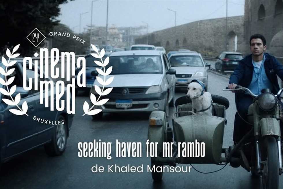 2551694_0 - برفيلكس - brieflex - برفيلكس - brieflex
