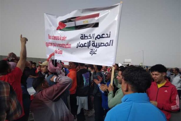  - برفيلكس - brieflex