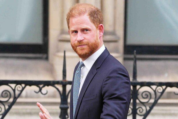  - برفيلكس - brieflex