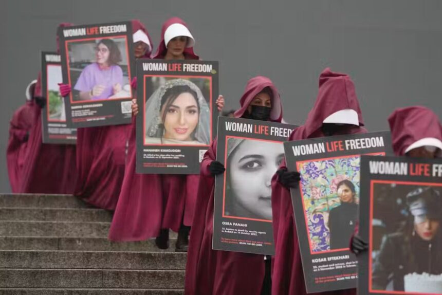  - برفيلكس - brieflex