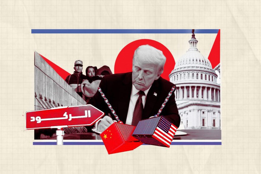  - برفيلكس - brieflex