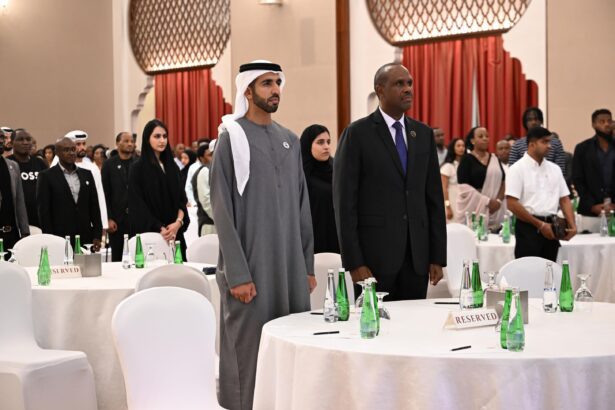  - برفيلكس - brieflex