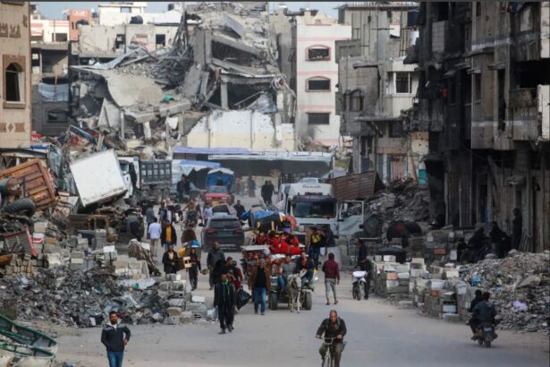  - برفيلكس - brieflex