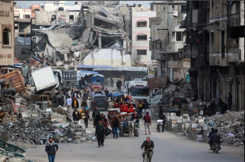  - برفيلكس - brieflex