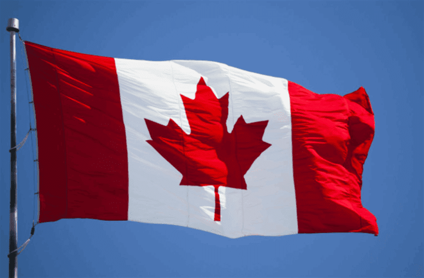  - برفيلكس - brieflex