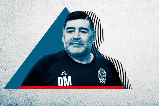  - برفيلكس - brieflex