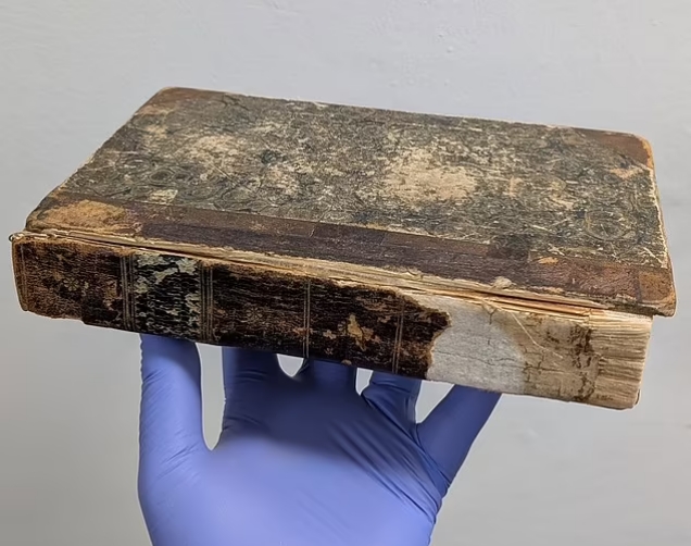  - برفيلكس - brieflex