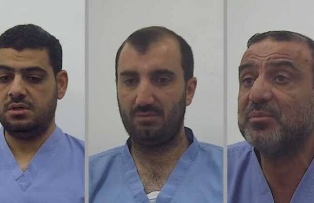  - برفيلكس - brieflex