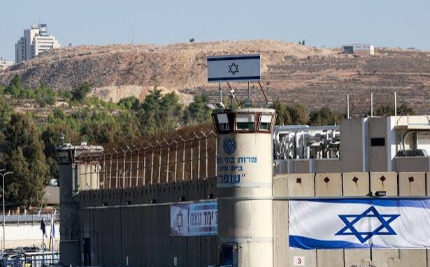  - برفيلكس - brieflex