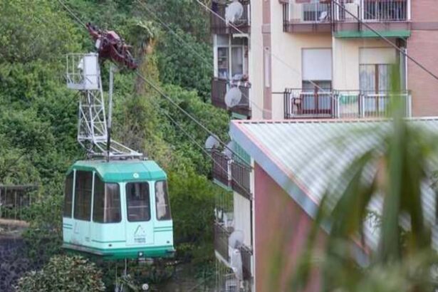  - برفيلكس - brieflex