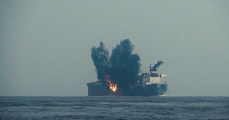  - برفيلكس - brieflex