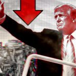  - برفيلكس - brieflex