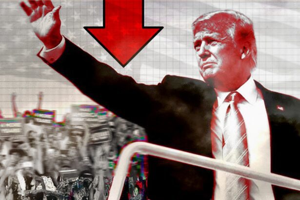  - برفيلكس - brieflex