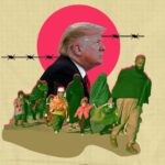  - برفيلكس - brieflex