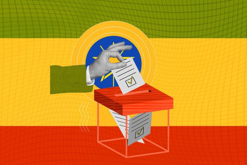  - برفيلكس - brieflex