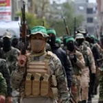  - برفيلكس - brieflex