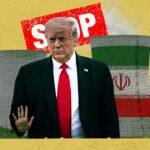  - برفيلكس - brieflex