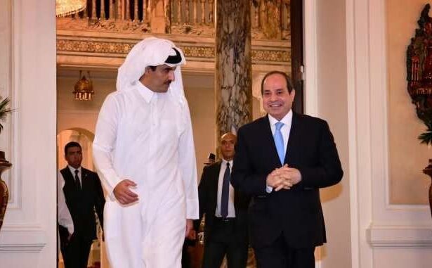  - برفيلكس - brieflex