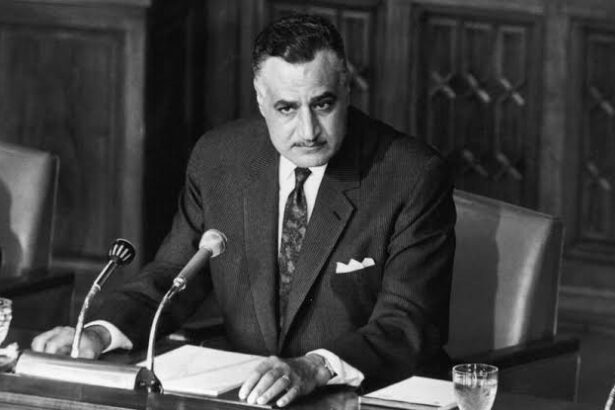  - برفيلكس - brieflex