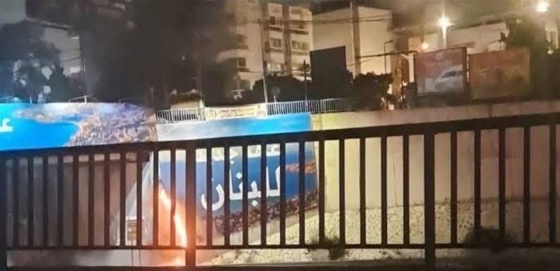  - برفيلكس - brieflex