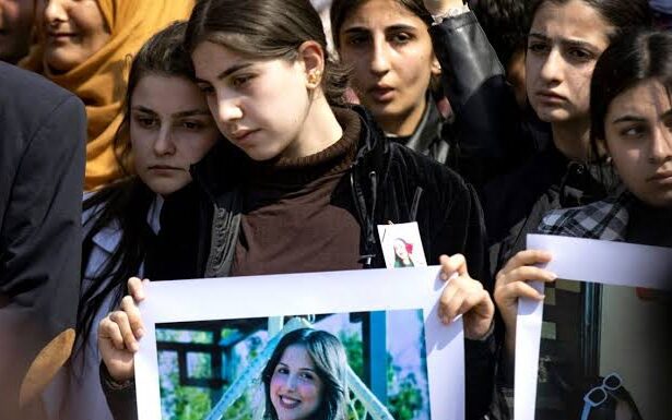  - برفيلكس - brieflex