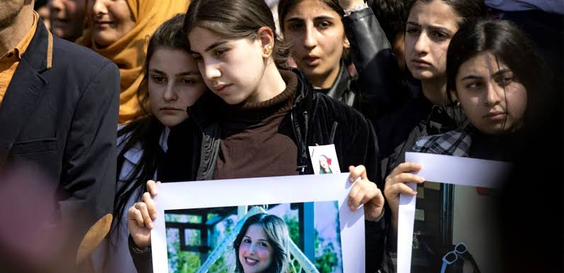  - برفيلكس - brieflex