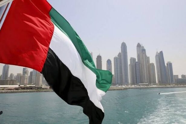  - برفيلكس - brieflex