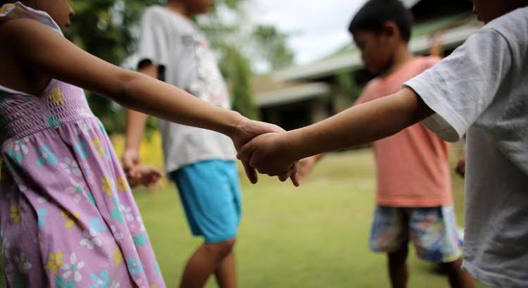  - برفيلكس - brieflex