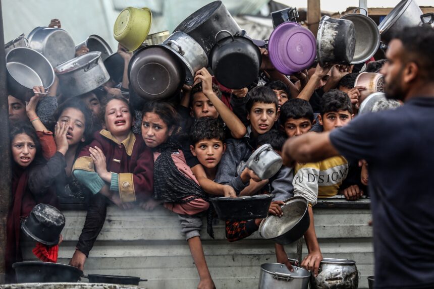  - برفيلكس - brieflex