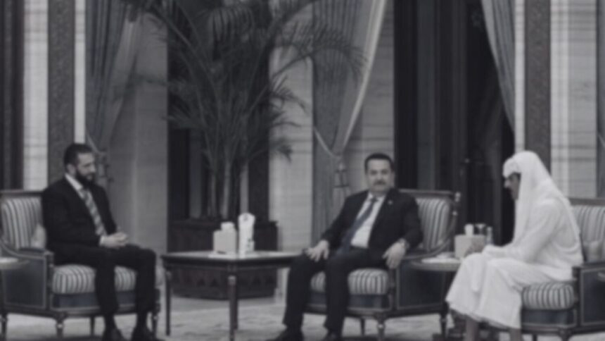  - برفيلكس - brieflex