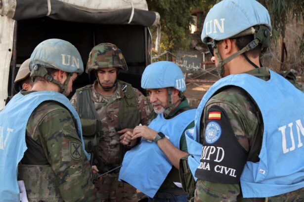  - برفيلكس - brieflex